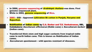  In 2000, genome sequencing of Arabidopis thaliana was done. First
genome sequenced plant.
 While in 2002, genome sequencing of Rice.
 2005 – GOI – Approved cultivation Bt cotton in Punjab, Haryana and
Rajasthan.
 Nobilisation of Indian canes by C.A. Barber and T.S. Venkatraman, SBI,
Coimbatore) Saccharum officinarun (Noble cane) x Saccaharum barberi
(Indian cane).
 Transferred thick stem and high sugar contents from tropical noble
cane to north Indian cane. This is known as Nobilisation of Indian
canes.
 Saccaharum spontaneum – wild species resistant of diseases.
 