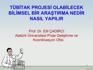 1
TÜBİTAK PROJESİ OLABİLECEK
BİLİMSEL BİR ARAŞTIRMA NEDİR
NASIL YAPILIR
Prof. Dr. Elif ÇADIRCI
Atatürk Üniversitesi Proje Geliştirme ve
Koordinasyon Ofisi
 