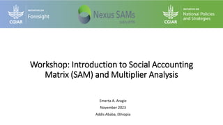 Emerta A. Aragie
November 2023
Addis Ababa, Ethiopia
Workshop: Introduction to Social Accounting
Matrix (SAM) and Multiplier Analysis
 