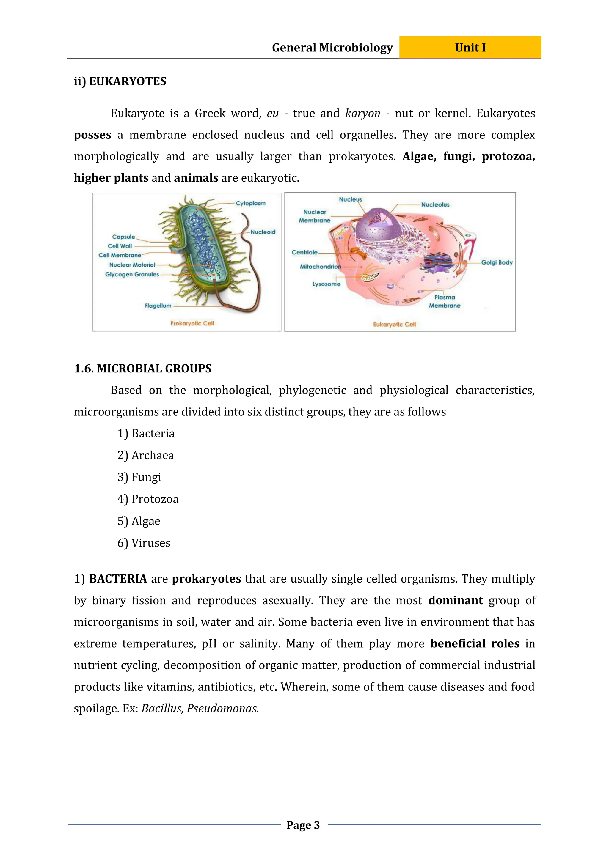 General Microbiology Unit I
Page 3
ii) EUKARYOTES
Eukaryote is a Greek word, eu - true and karyon - nut or kernel. Eukaryotes
posses a membrane enclosed nucleus and cell organelles. They are more complex
morphologically and are usually larger than prokaryotes. Algae, fungi, protozoa,
higher plants and animals are eukaryotic.
1.6. MICROBIAL GROUPS
Based on the morphological, phylogenetic and physiological characteristics,
microorganisms are divided into six distinct groups, they are as follows
1) Bacteria
2) Archaea
3) Fungi
4) Protozoa
5) Algae
6) Viruses
1) BACTERIA are prokaryotes that are usually single celled organisms. They multiply
by binary fission and reproduces asexually. They are the most dominant group of
microorganisms in soil, water and air. Some bacteria even live in environment that has
extreme temperatures, pH or salinity. Many of them play more beneficial roles in
nutrient cycling, decomposition of organic matter, production of commercial industrial
products like vitamins, antibiotics, etc. Wherein, some of them cause diseases and food
spoilage. Ex: Bacillus, Pseudomonas.
 