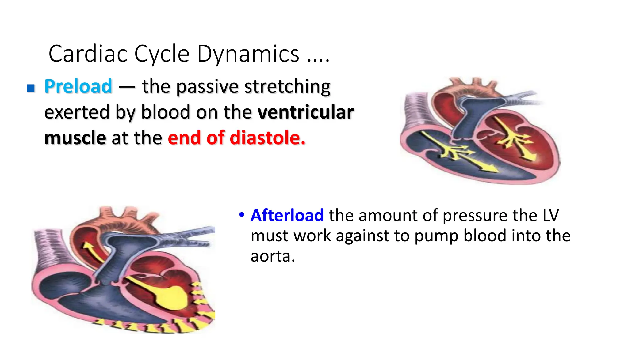 ECG For BSc Students.pptx