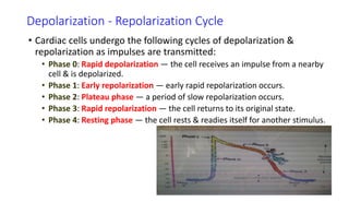 ECG For BSc Students.pptx