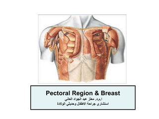 Pectoral Region & Breast
‫ا‬
.
‫م‬
.
‫د‬
.
‫العاني‬ ‫الجواد‬ ‫عبد‬ ‫معتز‬
‫الوالدة‬ ‫وحديثي‬ ‫االطفال‬ ‫جراحة‬ ‫استشاري‬
 