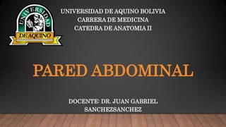 PARED ABDOMINAL
DOCENTE: DR. JUAN GABRIEL
SANCHEZSANCHEZ
UNIVERSIDAD DE AQUINO BOLIVIA
CARRERA DE MEDICINA
CATEDRA DE ANATOMIA II
 