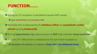 FUNCTION……
Acting on V1-receptors in peripheral vessels AVP causes
vaso-constriction and increase in BP.
Normally this is balanced by its inhibitory effect on sympathetic cardiac
stimuli causing bradycardia.
During hypovolemia high plasma levels of AVP help maintain tissue perfusion.
A lesser 2ndry effect that is mediated via V2 non-renal receptors is:
stimulation of synthesis and release of factor VIII & Von Willebrand Factor.
 