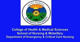 Collage of Health & Medical Sciences
School of Nursing & Midwifery
Department of Emergency & Critical Care Nursing
 
