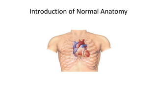Introduction of Normal Anatomy
 