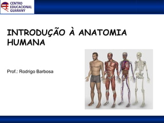 INTRODUÇÃO À ANATOMIA
HUMANA
Prof.: Rodrigo Barbosa
 