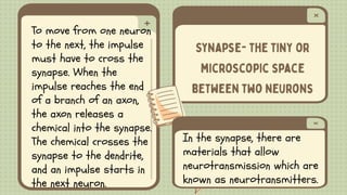 To move from one neuron
to the next, the impulse
must have to cross the
synapse. When the
impulse reaches the end
of a branch of an axon,
the axon releases a
chemical into the synapse.
The chemical crosses the
synapse to the dendrite,
and an impulse starts in
the next neuron.
In the synapse, there are
materials that allow
neurotransmission which are
known as neurotransmitters.
 