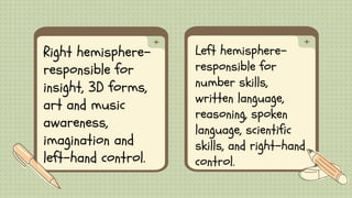 Left hemisphere-
responsible for
number skills,
written language,
reasoning, spoken
language, scientific
skills, and right-hand
control.
Right hemisphere-
responsible for
insight, 3D forms,
art and music
awareness,
imagination and
left-hand control.
 