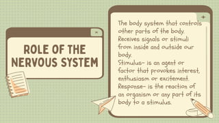 The body system that controls
other parts of the body.
Receives signals or stimuli
from inside and outside our
body.
Stimulus- is an agent or
factor that provokes interest,
enthusiasm or excitement.
Response- is the reaction of
an organism or any part of its
body to a stimulus.
 