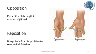 Introduction & Terms of Anatomical Nomenclature.pdf