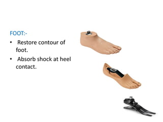 FOOT:-
• Restore contour of
foot.
• Absorb shock at heel
contact.
 