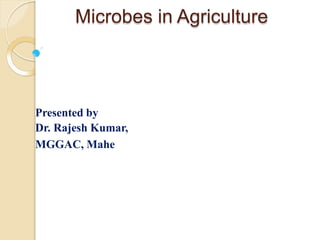 Microbes in Agriculture
Presented by
Dr. Rajesh Kumar,
MGGAC, Mahe
 