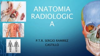 ANATOMIA
RADIOLOGIC
A
P.T.R. SERGIO RAMIREZ
CASTILLO
 
