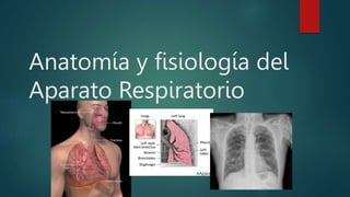 Anatomía y fisiología del
Aparato Respiratorio
 