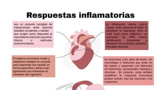 Respuestas inﬂamatorias
son un conjunto complejo de
interacciones entre factores
solubles circulantes y células
que surgen como respuesta al
traumatismo,infección,isquemia
tóxicos o estímulos
autoinmunitarios.
El sistema inmunitario innato y
adaptativo trabajan en conjunto
para responder con rapidez en
forma específica y eficaz a las
agresiones que amenazan el
bienestar del organismo
la inflamación misma podría
causar daño adicional al tejido al
amplificar la respuesta, tanto al
nivel local como sistémico. La
activación de PRR induce
señalización intracelular y
liberación de productos celulares,
incluidas citocinas.
los leucocitos a los sitios de lesión, los
macrófagos o histiocitos que están en
los tejidos y responden con liberación
de histaminas, eicosanoides, triptasas y
citocinas . En conjunto, estas señales
amplifican la respuesta inmunitaria
porque activan más las neuronas y los
mastocitos.
 
