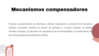 Mecanismos compensadores
Produce vasoconstricción de arteriolas y arterias musculares y aumento de la frecuencia
cardiaca, buscando mantener la presión de perfusión y el gasto cardiaco, el sistema
nervioso simpático, la secreción de vasopresina por la neurohipófisis y la estimulación del
eje renina-angiotensina-aldosterona (RAA).
 