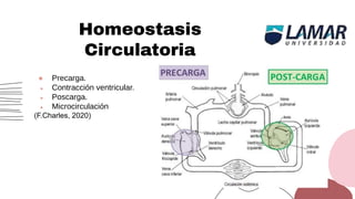 Homeostasis
Circulatoria
● Precarga.
● Contracción ventricular.
● Poscarga.
● Microcirculación
(F.Charles, 2020)
 