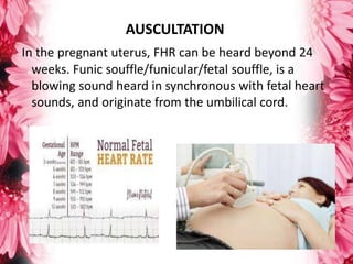 Funic Decompression 1.GYNAECOLOGICAL ASSESSMENT AND PROCEDURES - Copy.pptx