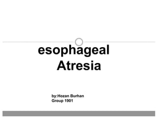 esophageal
Atresia
by:Hozan Burhan
Group 1901
 