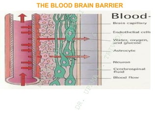 THE BLOOD BRAIN BARRIER
D
R
.
N
A
I
T
I
K
D
T
R
I
V
E
D
I
&
D
R
.
U
P
A
M
A
N
.
T
R
I
V
E
D
I
 