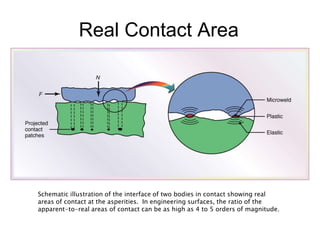 Real Contact Area
Schematic illustration of the interface of two bodies in contact showing real
areas of contact at the asperities. In engineering surfaces, the ratio of the
apparent-to-real areas of contact can be as high as 4 to 5 orders of magnitude.
 