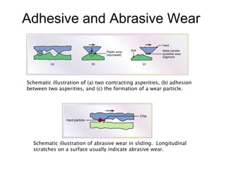 Adhesive and Abrasive Wear
Schematic illustration of (a) two contracting asperities, (b) adhesion
between two asperities, and (c) the formation of a wear particle.
Schematic illustration of abrasive wear in sliding. Longitudinal
scratches on a surface usually indicate abrasive wear.
 