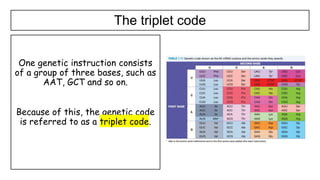 Triplet Coding 1.4 Genetic code in the DNA and RNA.pptx