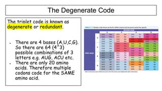 1.4 Genetic code in the DNA and RNA.pptx