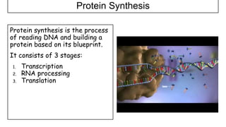 1.4 Genetic code in the DNA and RNA.pptx