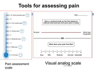 Visual Pain Identifier 1. Pain management,pain types and pathophysiology | PPTX