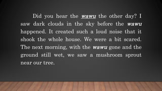 Did you hear the wawu the other day? I
saw dark clouds in the sky before the wawu
happened. It created such a loud noise that it
shook the whole house. We were a bit scared.
The next morning, with the wawu gone and the
ground still wet, we saw a mushroom sprout
near our tree.
 