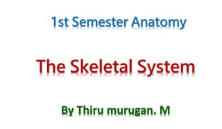 The Skeletal System
By Thiru murugan. M
1st Semester Anatomy
 