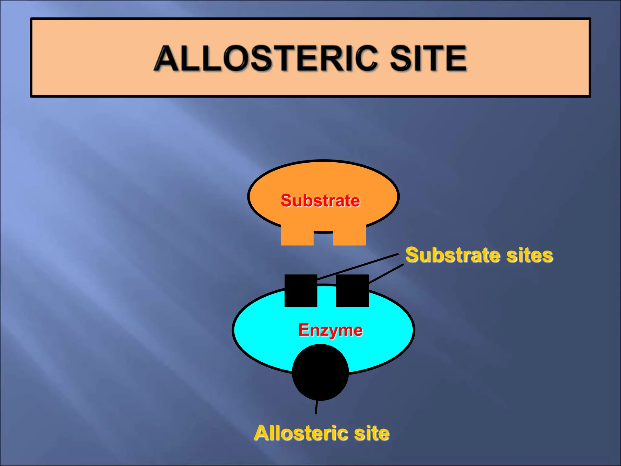 Substrate
Enzyme
Allosteric site
Substrate sites
 