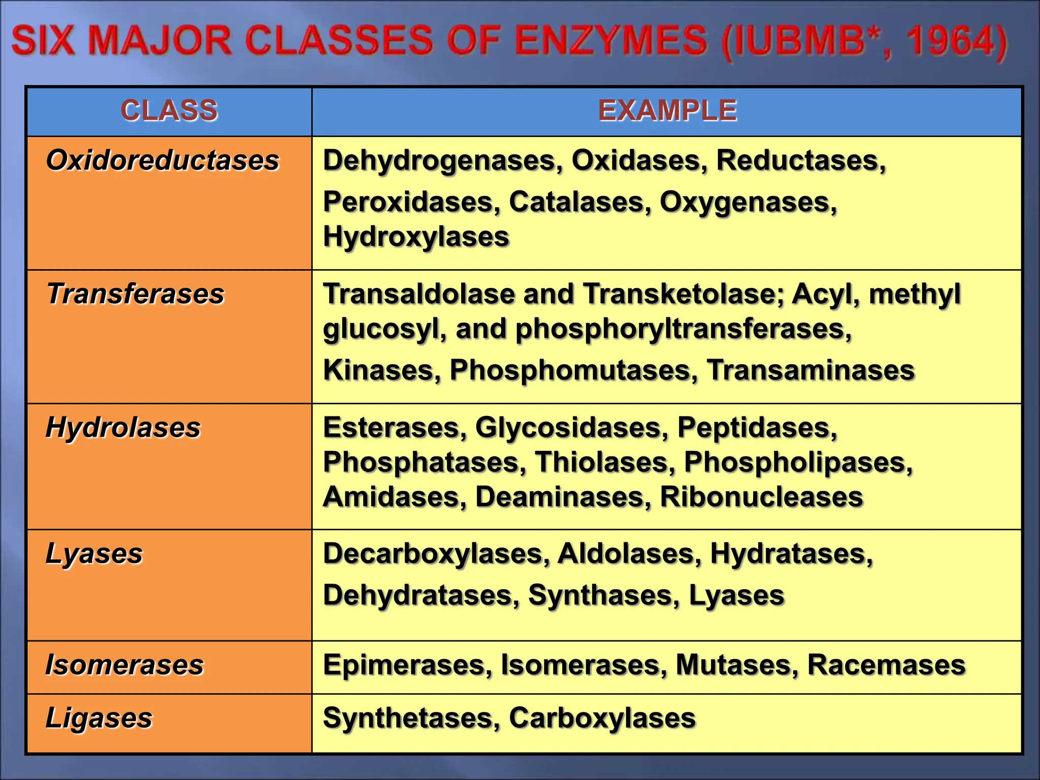 CLASS EXAMPLE
Oxidoreductases Dehydrogenases, Oxidases, Reductases,
Peroxidases, Catalases, Oxygenases,
Hydroxylases
Transferases Transaldolase and Transketolase; Acyl, methyl
glucosyl, and phosphoryltransferases,
Kinases, Phosphomutases, Transaminases
Hydrolases Esterases, Glycosidases, Peptidases,
Phosphatases, Thiolases, Phospholipases,
Amidases, Deaminases, Ribonucleases
Lyases Decarboxylases, Aldolases, Hydratases,
Dehydratases, Synthases, Lyases
Isomerases Epimerases, Isomerases, Mutases, Racemases
Ligases Synthetases, Carboxylases
 