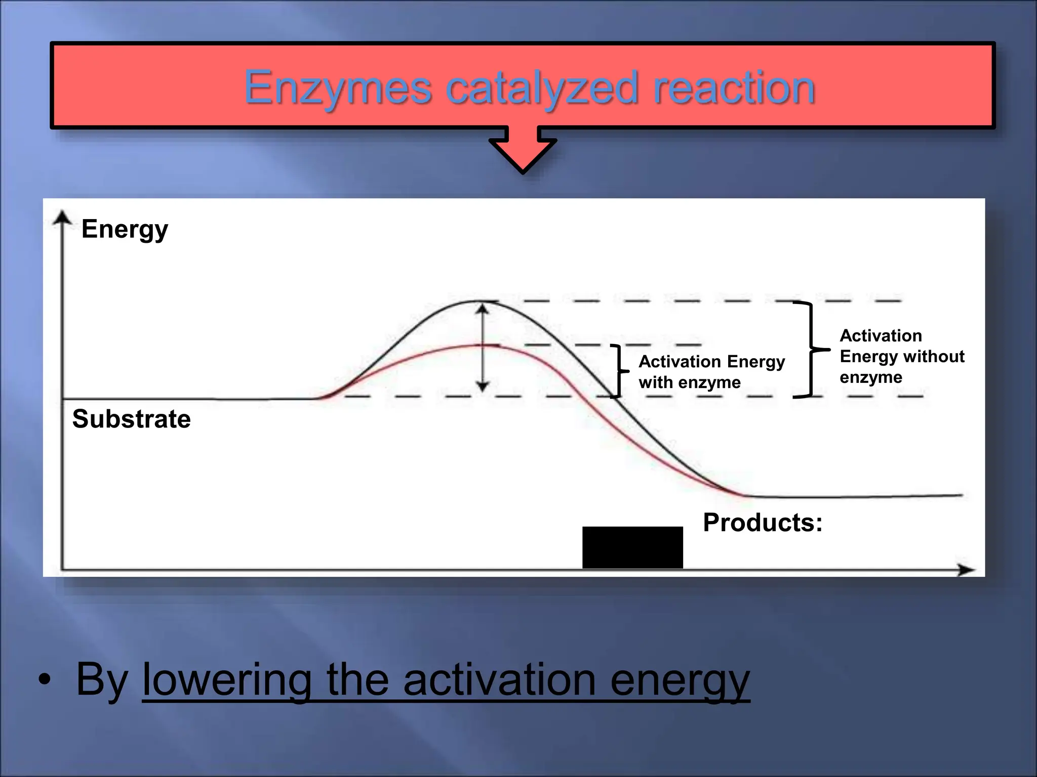 Enzymes catalyzed reaction
Activation Energy
with enzyme
Activation
Energy without
enzyme
Substrate
Products:
Energy
Time
• By lowering the activation energy
 