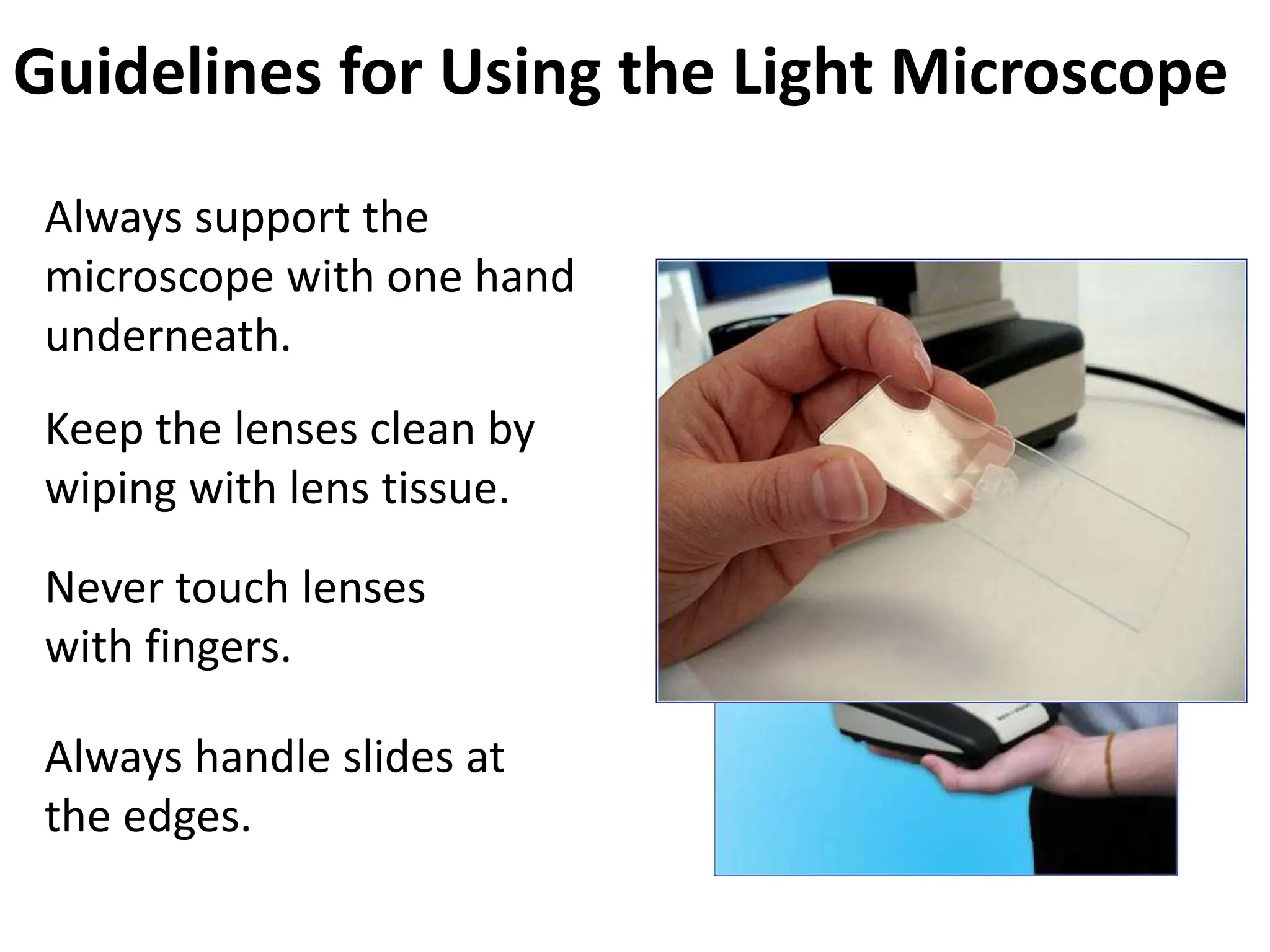 Guidelines for Using the Light Microscope
Always support the
microscope with one hand
underneath.
Keep the lenses clean by
wiping with lens tissue.
Never touch lenses
with fingers.
Always handle slides at
the edges.
 