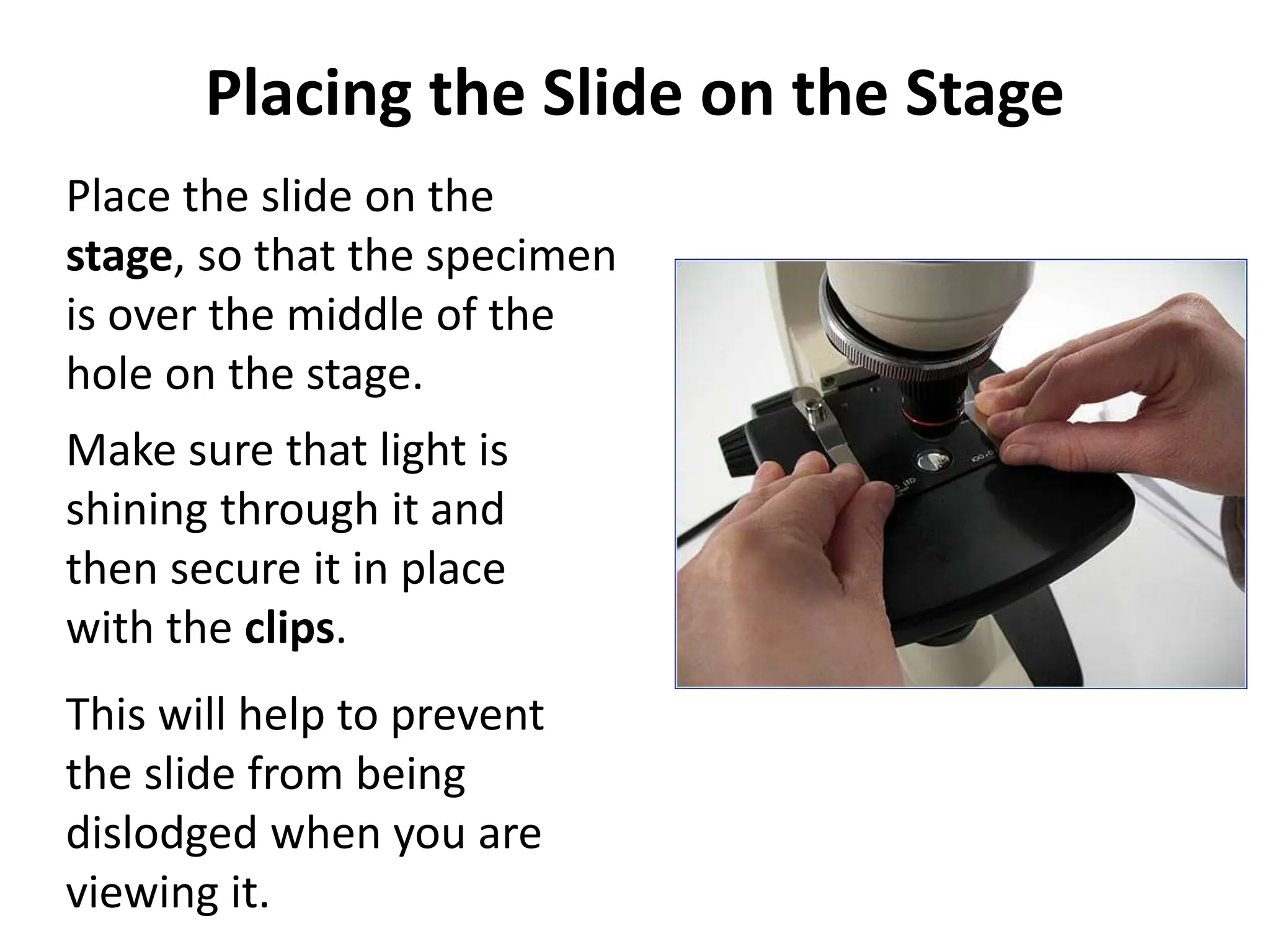 Placing the Slide on the Stage
Place the slide on the
stage, so that the specimen
is over the middle of the
hole on the stage.
Make sure that light is
shining through it and
then secure it in place
with the clips.
This will help to prevent
the slide from being
dislodged when you are
viewing it.
 