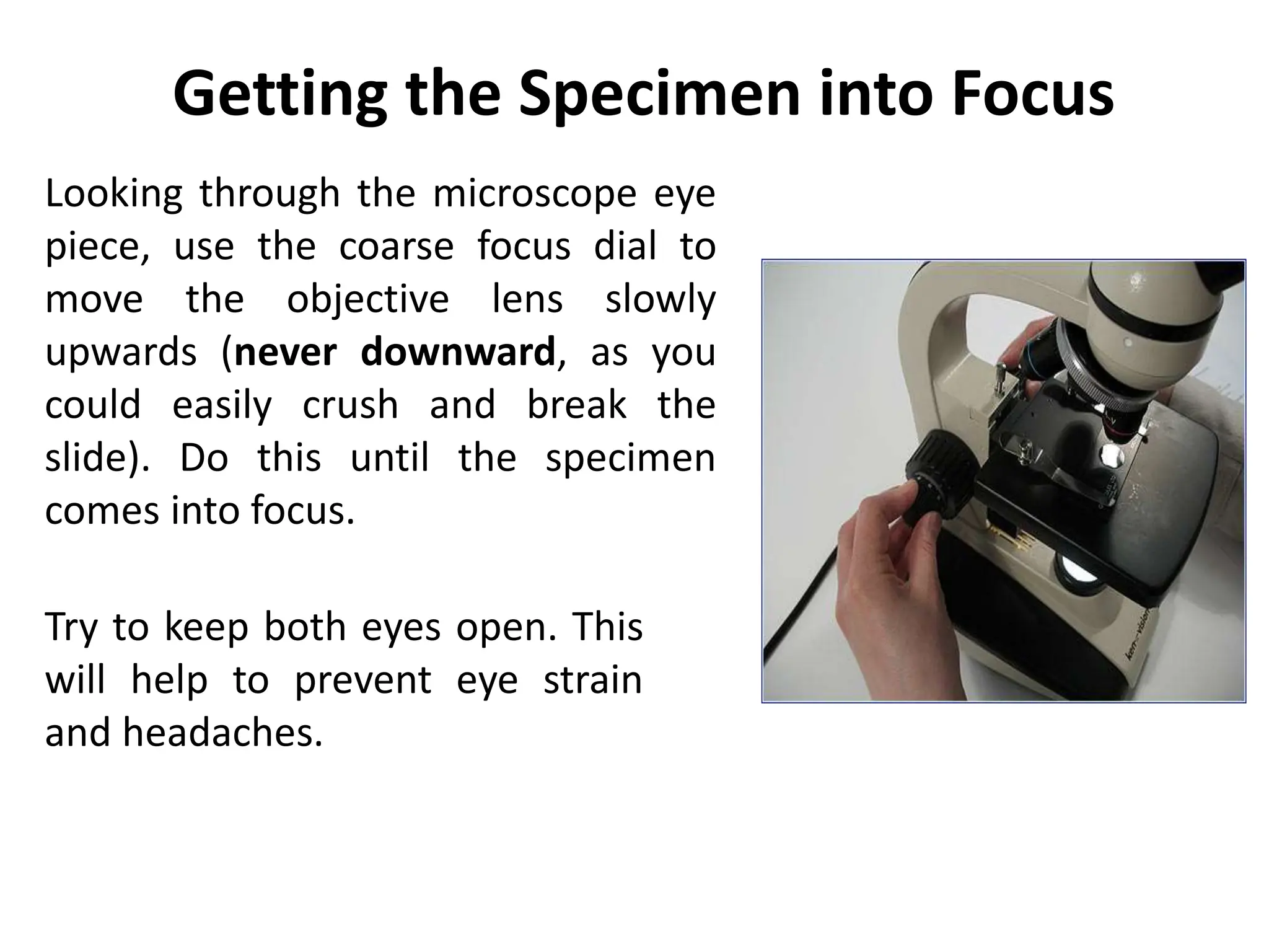 Getting the Specimen into Focus
Looking through the microscope eye
piece, use the coarse focus dial to
move the objective lens slowly
upwards (never downward, as you
could easily crush and break the
slide). Do this until the specimen
comes into focus.
Try to keep both eyes open. This
will help to prevent eye strain
and headaches.
 