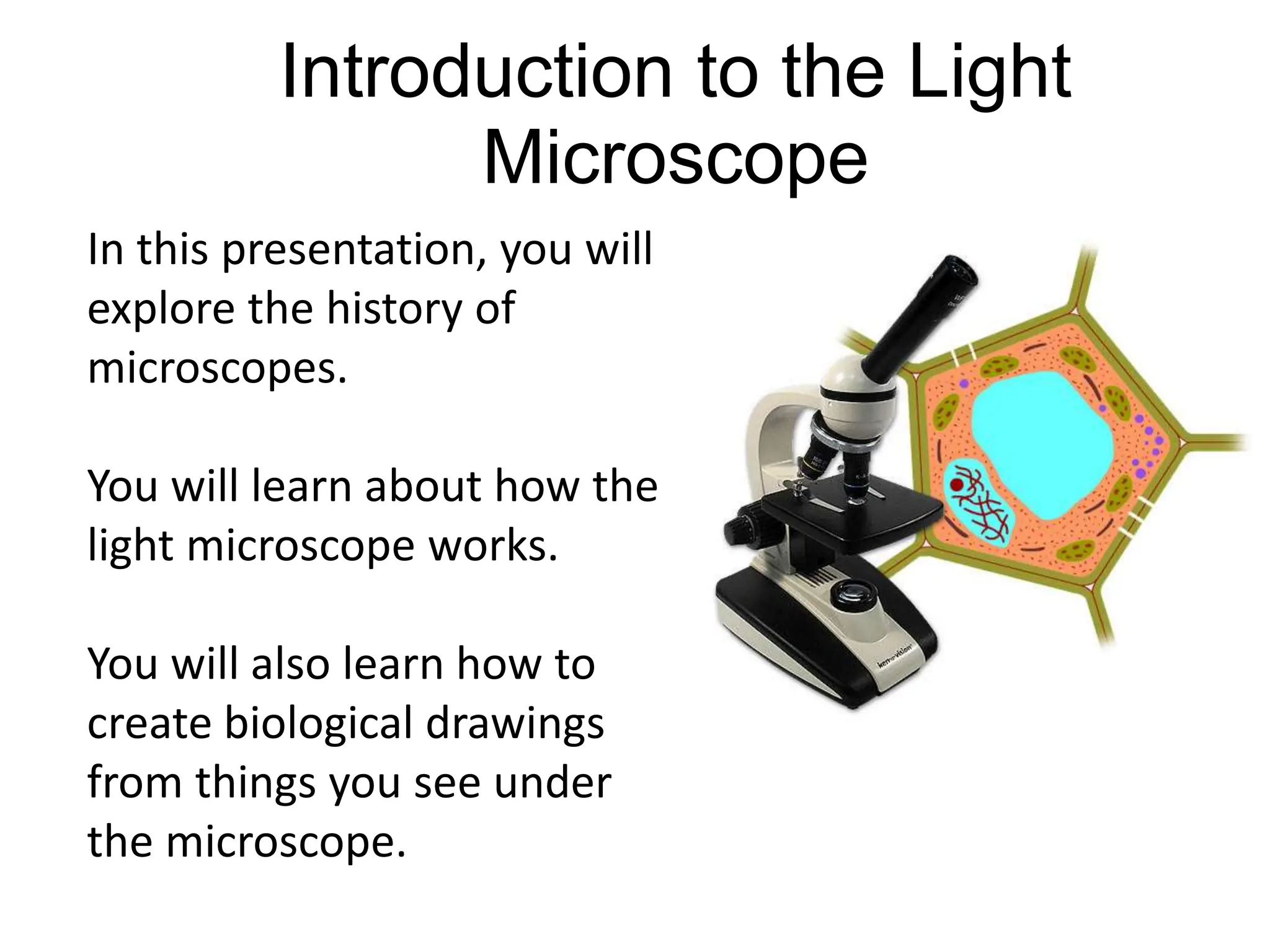 In this presentation, you will
explore the history of
microscopes.
You will learn about how the
light microscope works.
You will also learn how to
create biological drawings
from things you see under
the microscope.
Introduction to the Light
Microscope
 