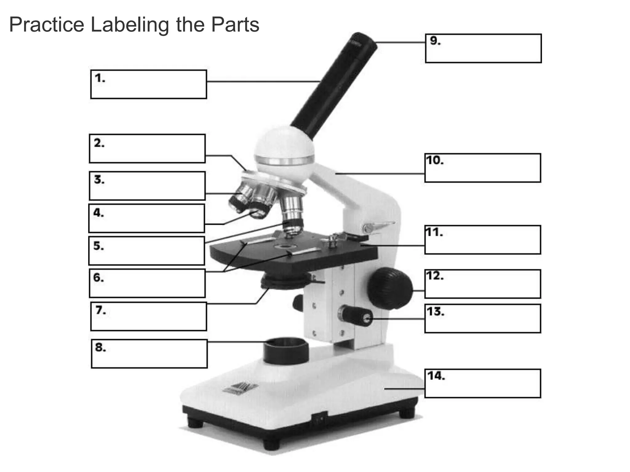 Practice Labeling the Parts
 