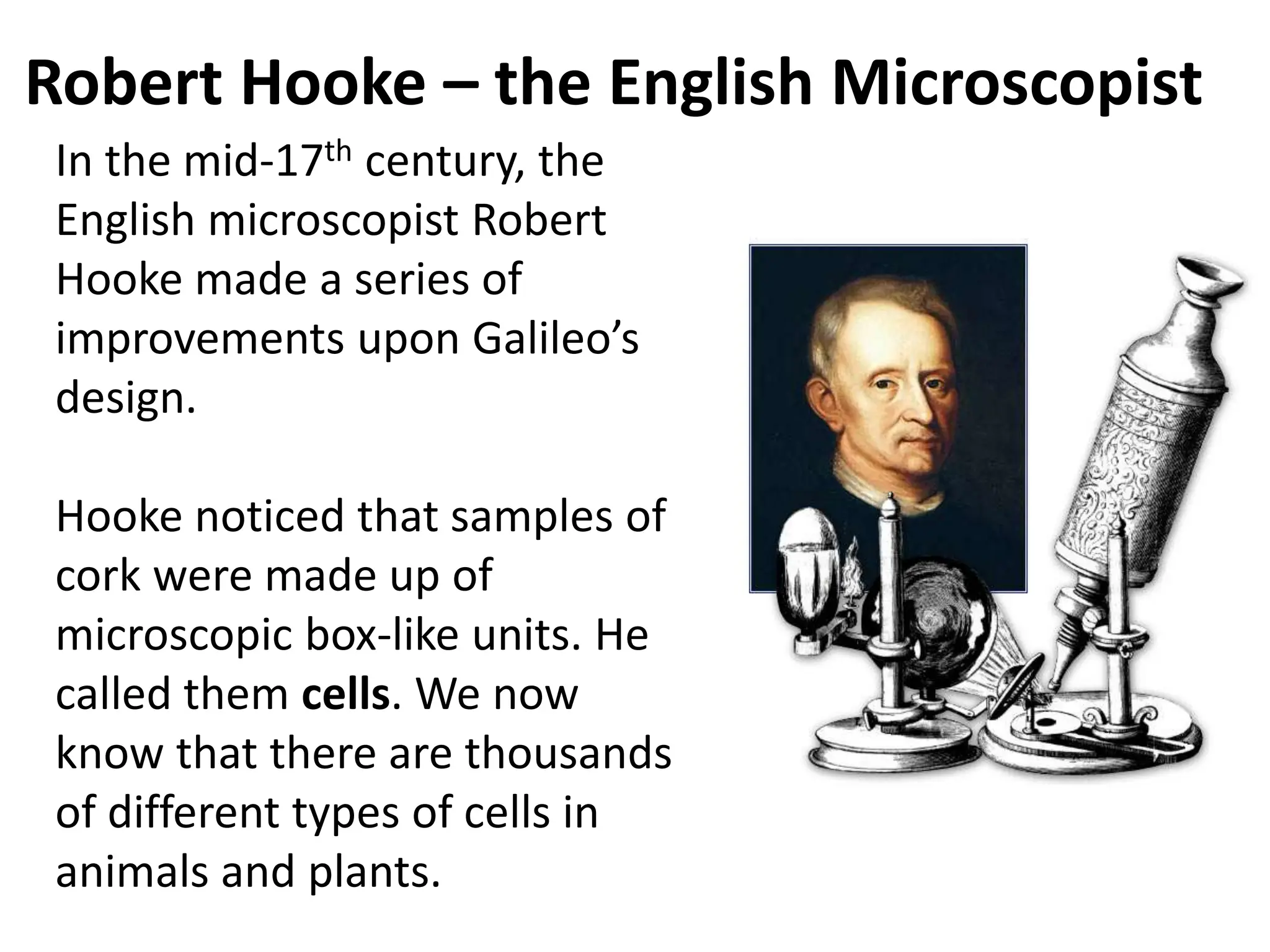 Robert Hooke – the English Microscopist
In the mid-17th century, the
English microscopist Robert
Hooke made a series of
improvements upon Galileo’s
design.
Hooke noticed that samples of
cork were made up of
microscopic box-like units. He
called them cells. We now
know that there are thousands
of different types of cells in
animals and plants.
 