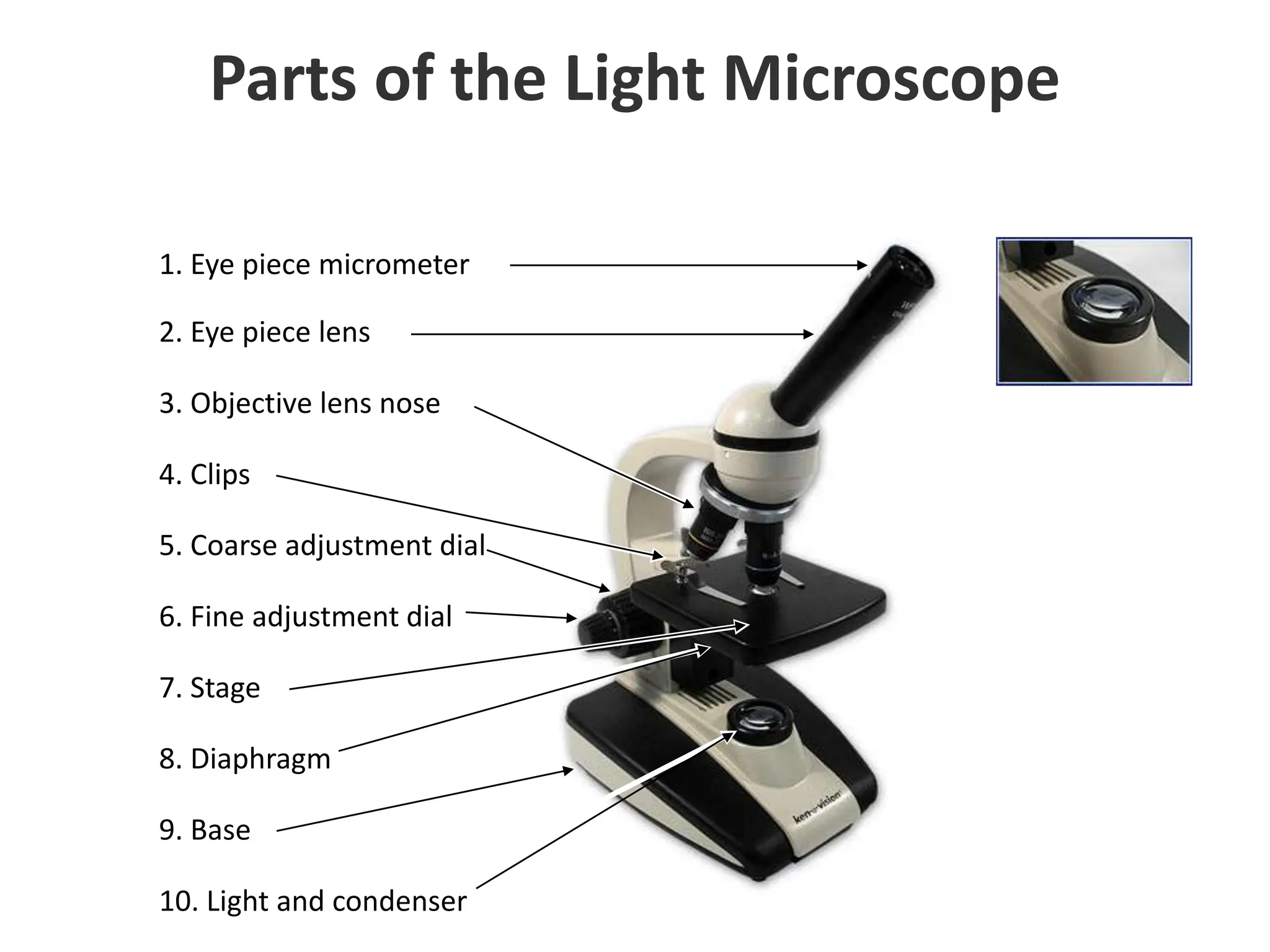 2. Eye piece lens
3. Objective lens nose
5. Coarse adjustment dial
6. Fine adjustment dial
9. Base
7. Stage
4. Clips
8. Diaphragm
10. Light and condenser
1. Eye piece micrometer
Parts of the Light Microscope
 