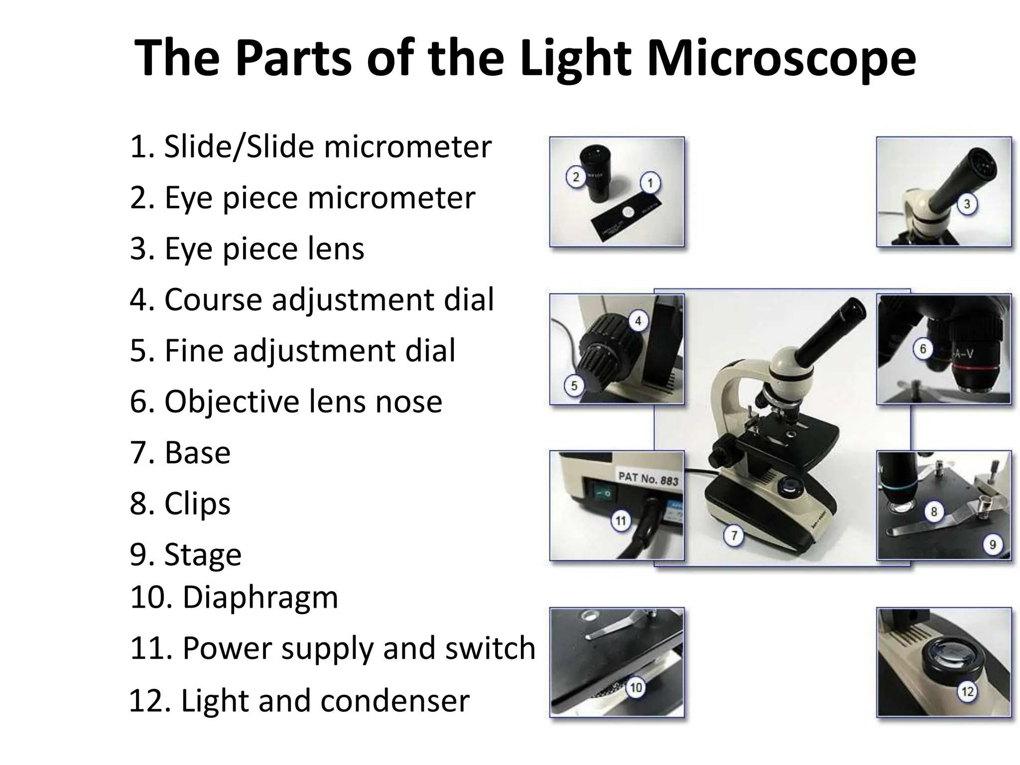 The Parts of the Light Microscope
1. Slide/Slide micrometer
2. Eye piece micrometer
3. Eye piece lens
4. Course adjustment dial
5. Fine adjustment dial
6. Objective lens nose
7. Base
9. Stage
8. Clips
10. Diaphragm
11. Power supply and switch
12. Light and condenser
 