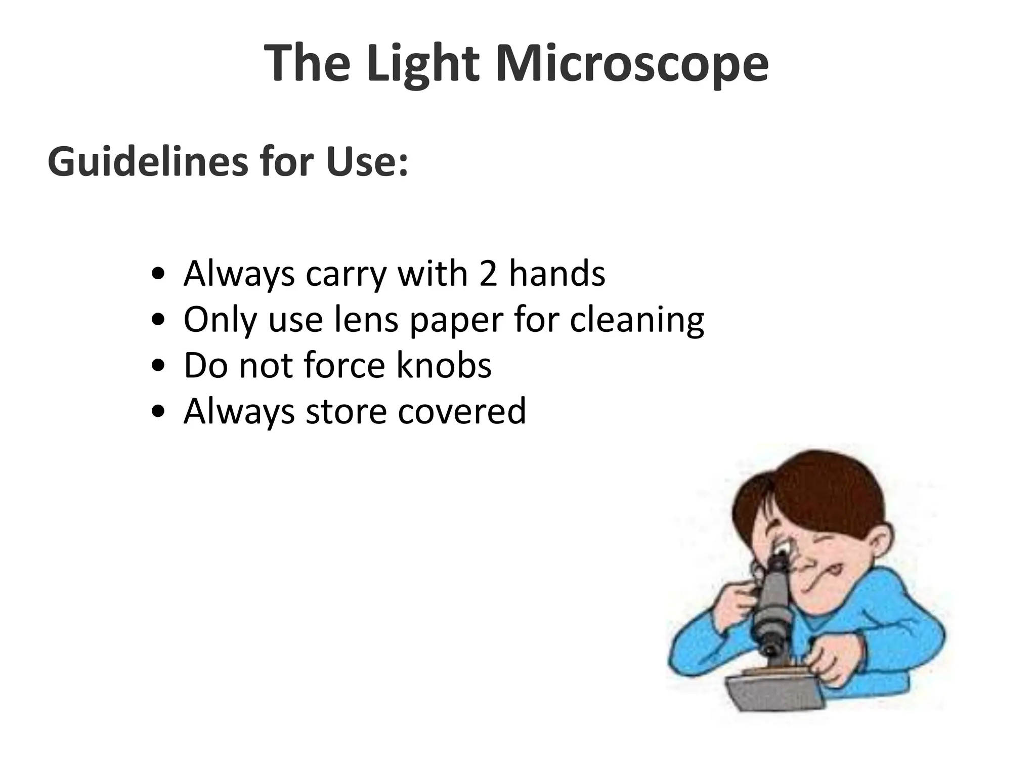 • Always carry with 2 hands
• Only use lens paper for cleaning
• Do not force knobs
• Always store covered
The Light Microscope
Guidelines for Use:
 