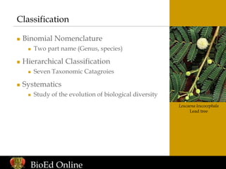 introduction to biological classification | PPT