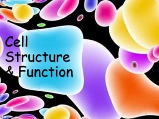 Cell
Structure
& Function
1
 