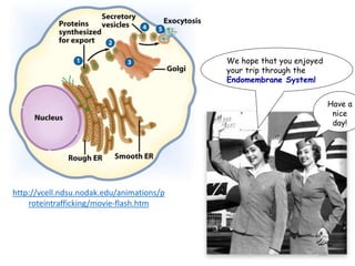 http://vcell.ndsu.nodak.edu/animations/p
roteintrafficking/movie-flash.htm
We hope that you enjoyed
your trip through the
Endomembrane System!
Have a
nice
day!
100
 