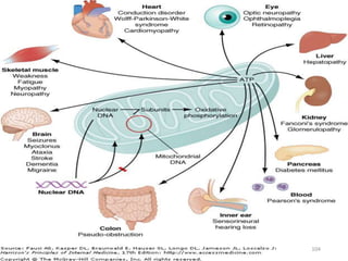 Mitochondrial Diseases
104
 